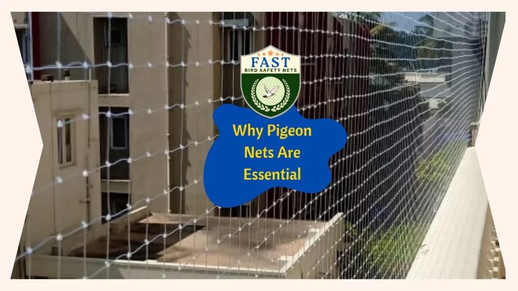 why pigeon nets are essential