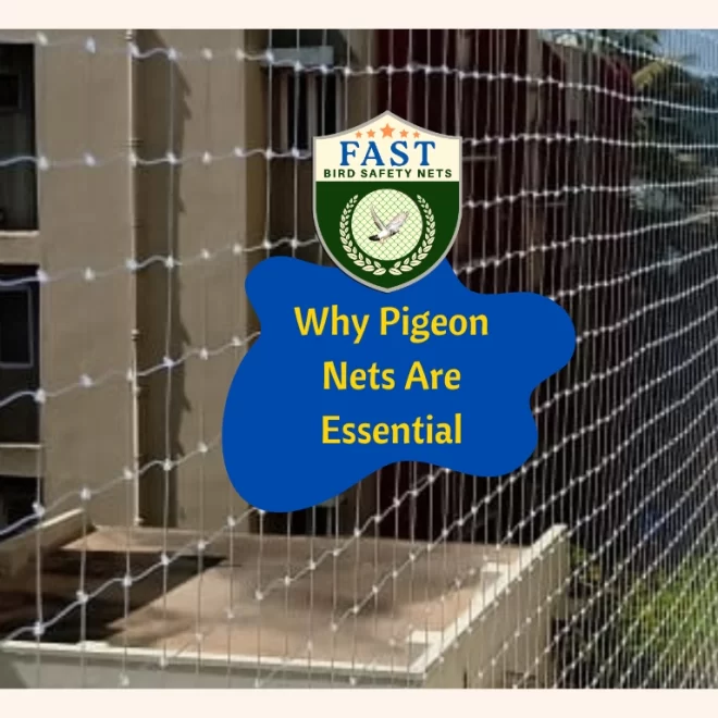 Why Pigeon Nets Are Essential?