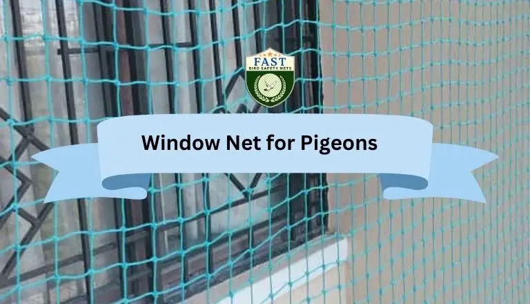 window pigeon net