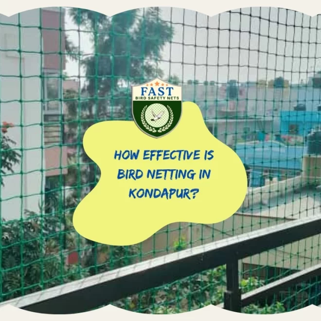 How effective is Bird Netting in Kondapur?