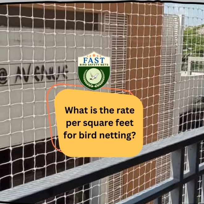 What is the rate per square feet for Bird Netting?