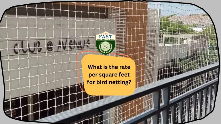 What is the rate per square feet for Bird Netting?