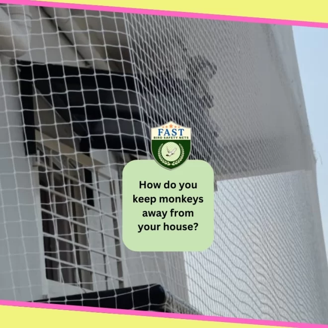 How do you keep Monkeys away from your House?