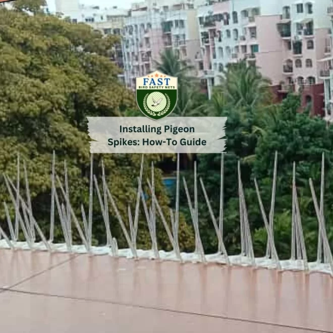 Installing Pigeon Spikes: How-To Guide