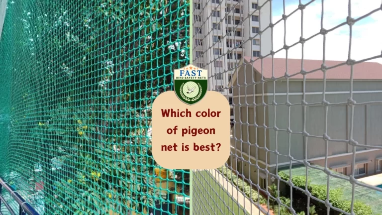 Which Color of Pigeon Net is Best?