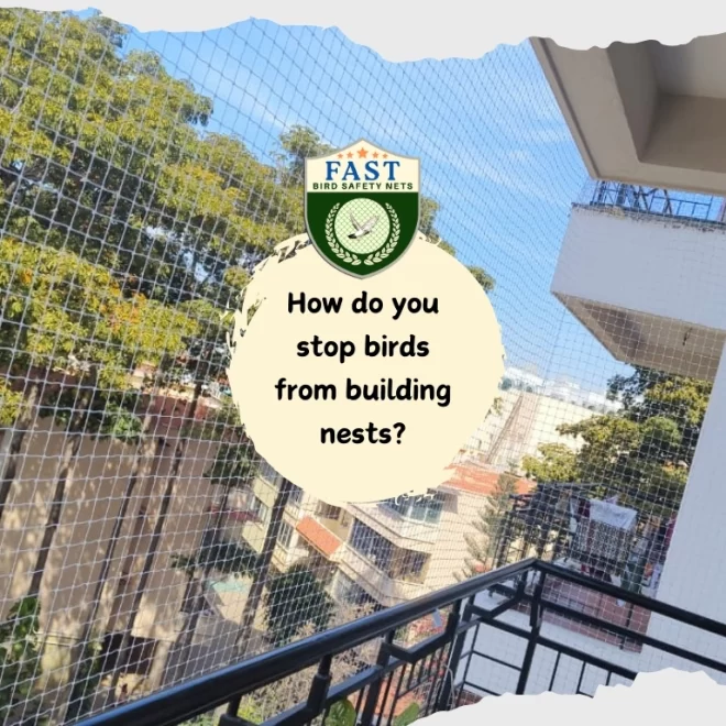 How do you stop birds from building nests?
