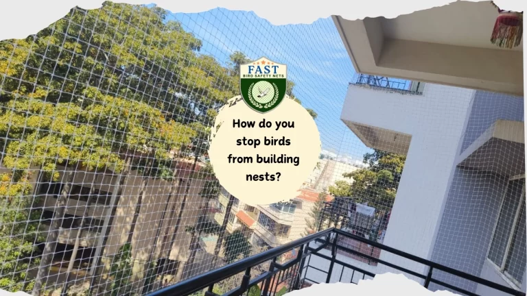 How do you stop birds from building nests?