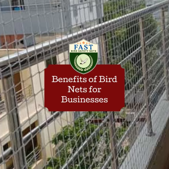 Benefits of Bird Nets for Businesses
