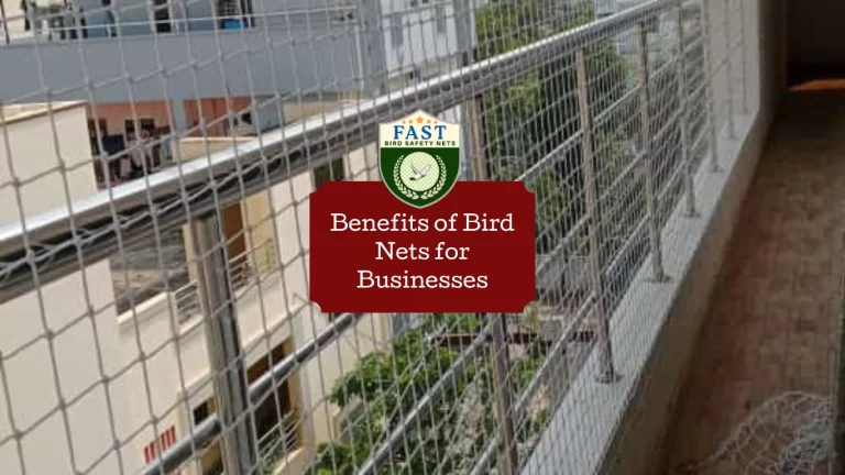 Benefits of Bird Nets for Businesses
