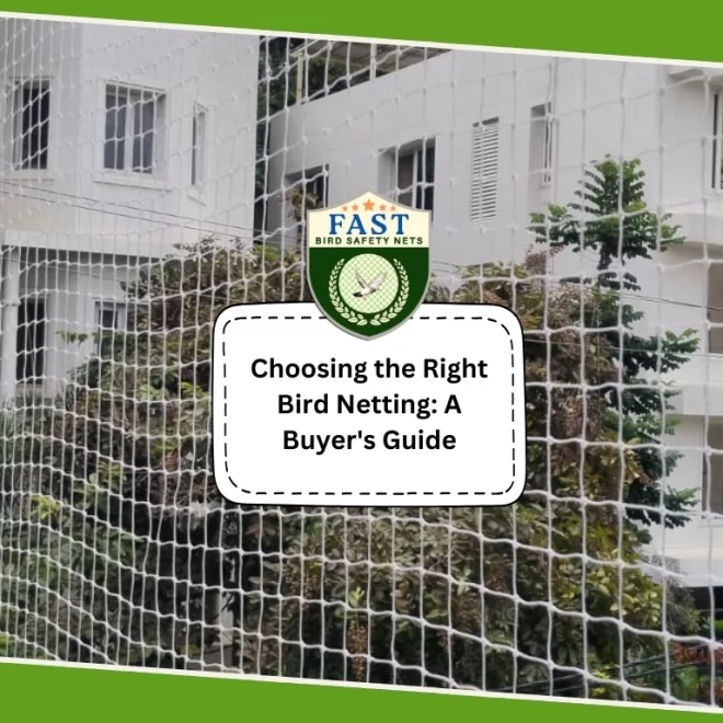 Choosing the Right Bird Netting: A Buyer’s Guide