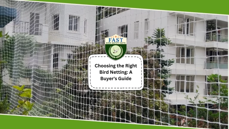Choosing the Right Bird Netting: A Buyer’s Guide