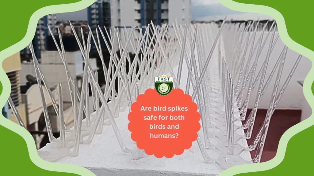 humane bird deterrent spikes