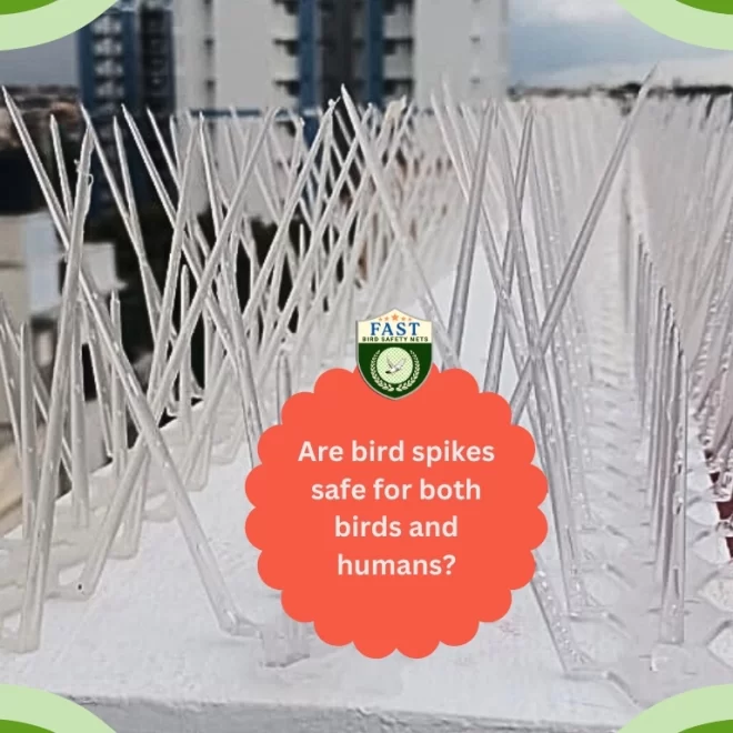 Are bird spikes safe for both Birds and Humans?
