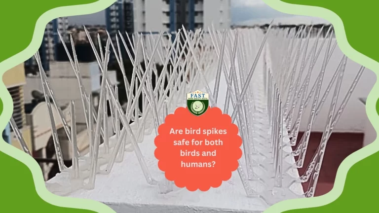 Are bird spikes safe for both Birds and Humans?