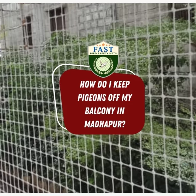 How do I keep Pigeons off my Balcony in Madhapur?