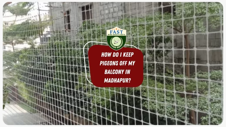 How do I keep Pigeons off my Balcony in Madhapur?