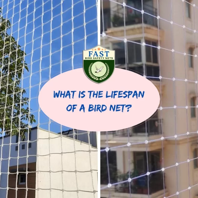 What is the Lifespan of a Bird Net?