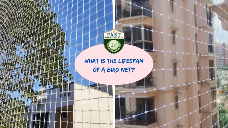 What is the Lifespan of a Bird Net?