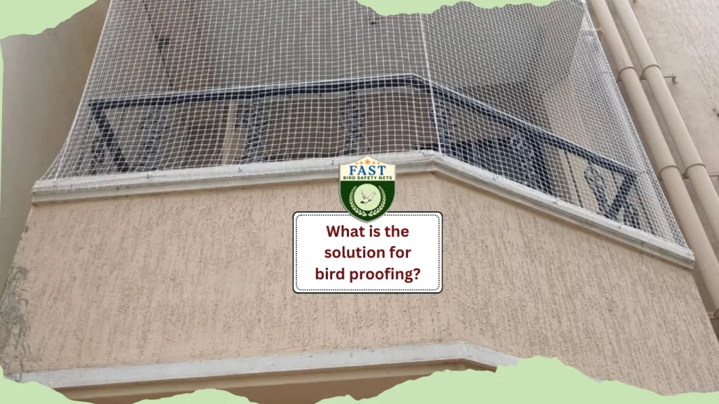 bird proofing solution