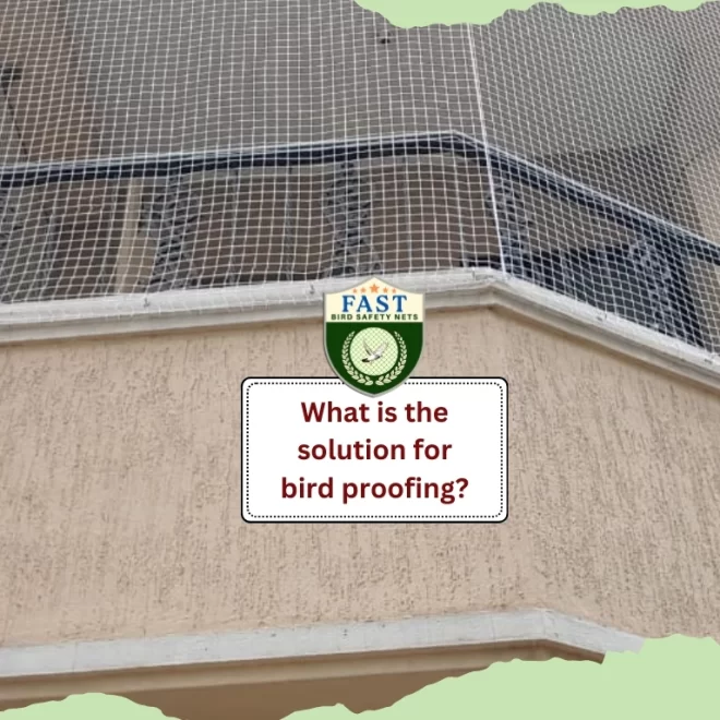 What is the Solution for Bird Proofing?