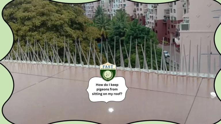 How do I keep Pigeons from sitting on my Roof?