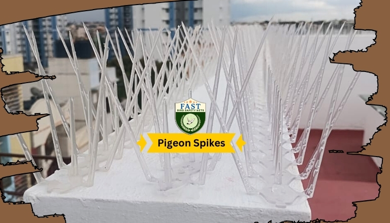 Pigeon Spikes Fixing in Hyderabad