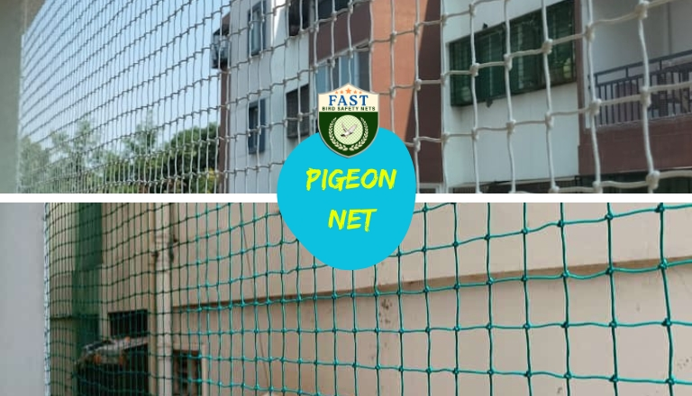 best pigeon net