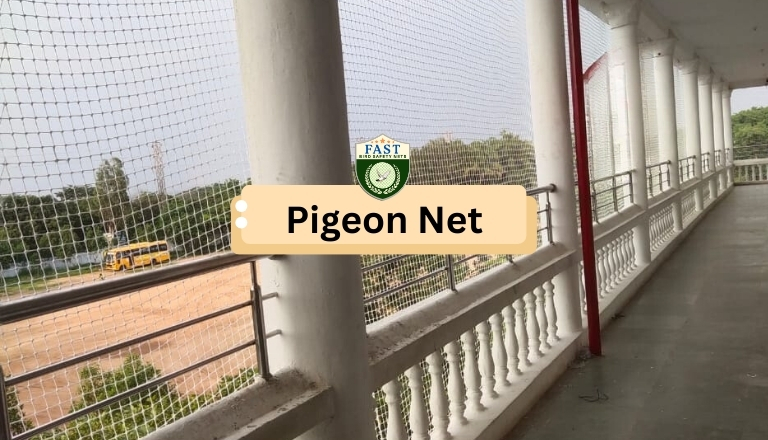 pigeon net installation