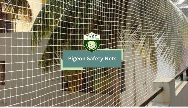 What is the Best Repellent for Pigeon Problems