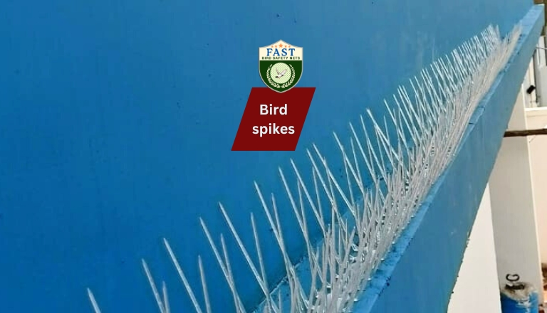 Bird Spikes Fixing