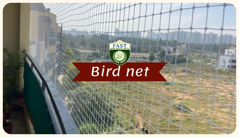 bird netting installation