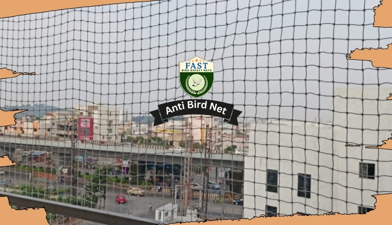 Best Anti Bird Net in Hyderabad 