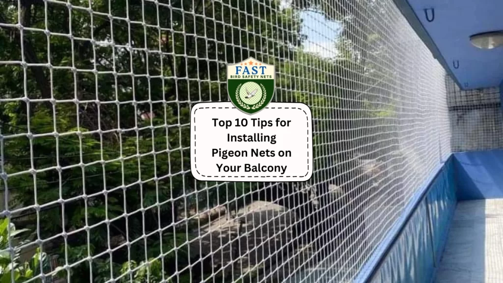 Pigeon net for balcony in Hyderabad