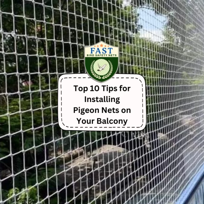 Top 10 Tips for Installing Pigeon Nets on Your Balcony