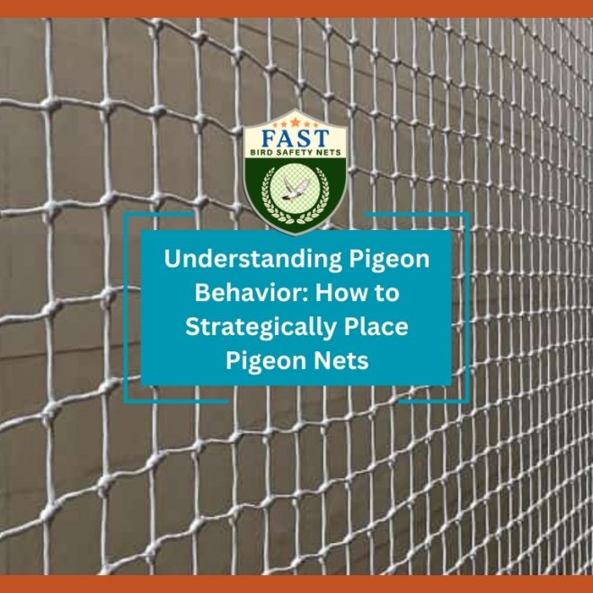 Understanding Pigeon Behavior: How to Strategically Place Pigeon Nets