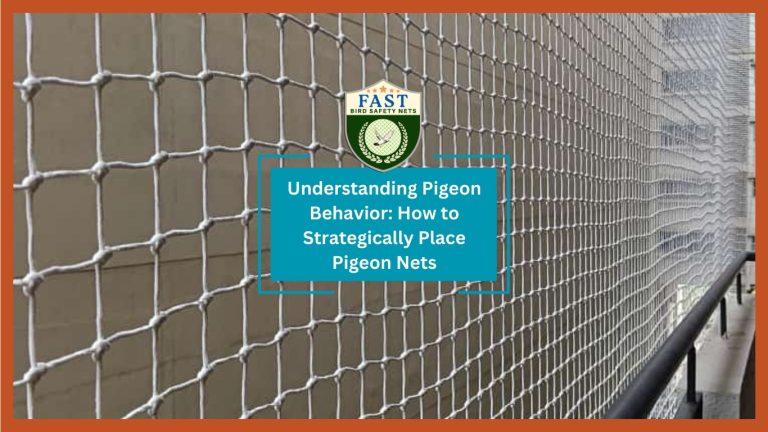 Understanding Pigeon Behavior: How to Strategically Place Pigeon Nets