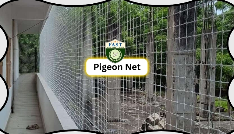 Pigeon Net Fixing