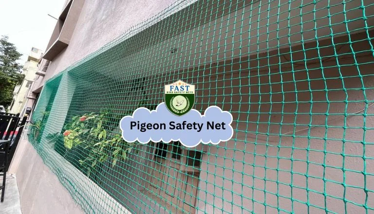 pigeon safety net in hyderabad