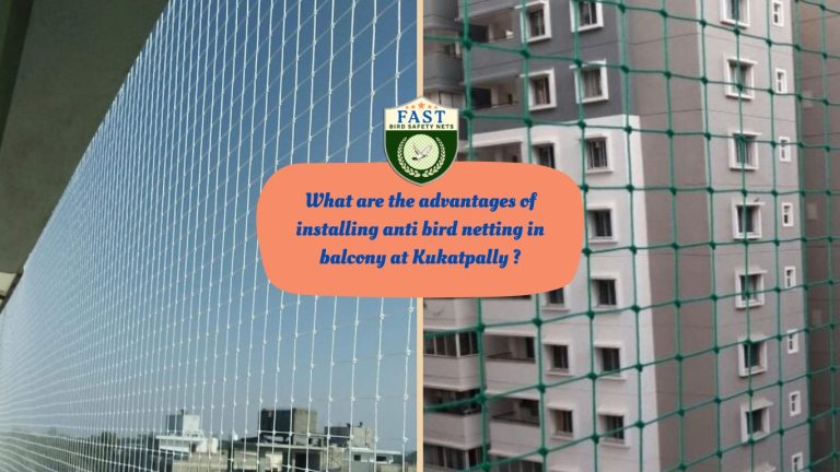 What are the advantages of installing anti bird netting in balcony at Kukatpally ?