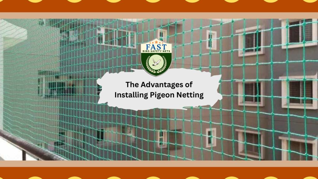 advantages of installing pigeon netting