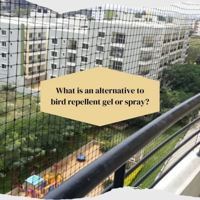 What is an alternative to bird repellent gel or spray?