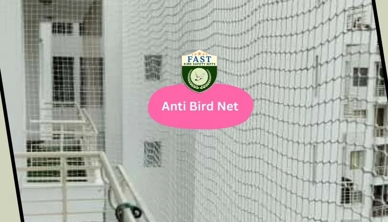 anti bird net installation