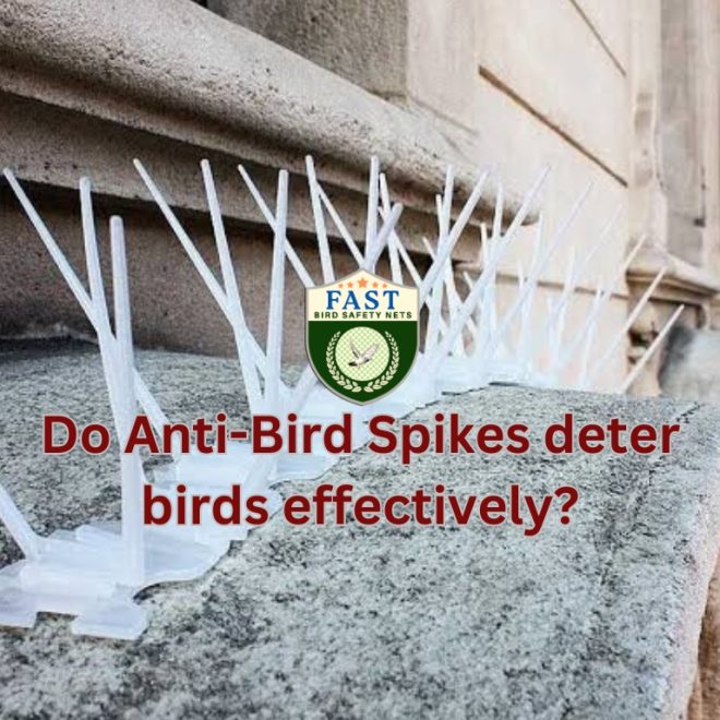 Do Anti Bird Spikes deter birds effectively?