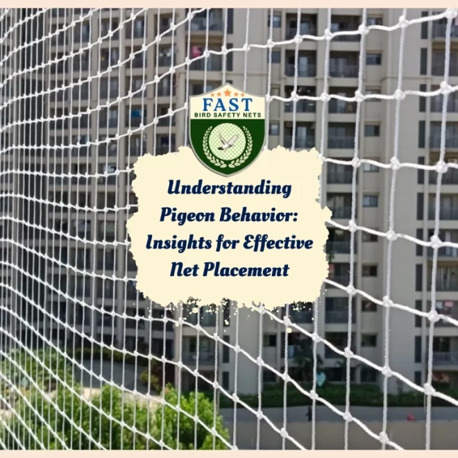 Understanding Pigeon Behaviour: Insights for Effective Net Placement