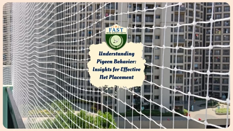 Understanding Pigeon Behaviour: Insights for Effective Net Placement