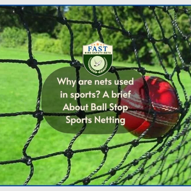 Why are nets used in sports? A brief About Ball Stop Sports Netting