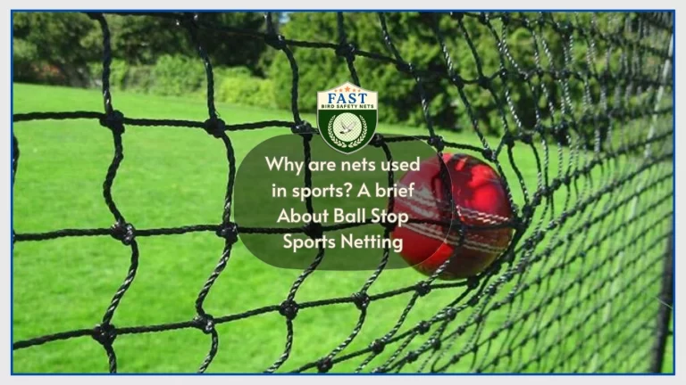 Why are nets used in sports? A brief About Ball Stop Sports Netting