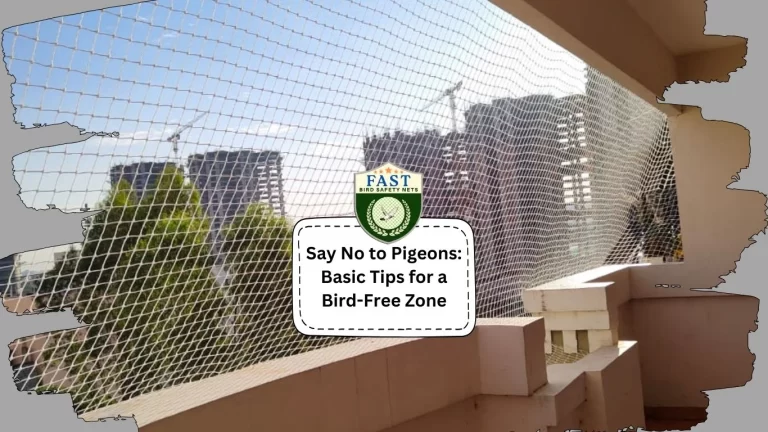 Say No to Pigeons: Basic Tips for a Bird-Free Zone