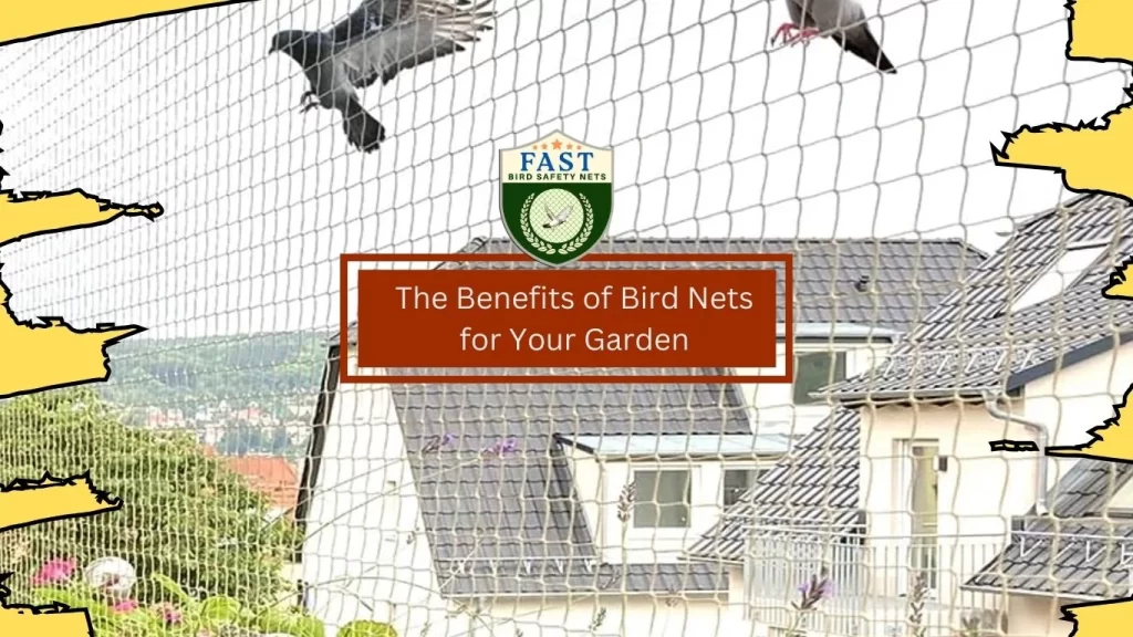 Benefits of Bird Nets for Garden