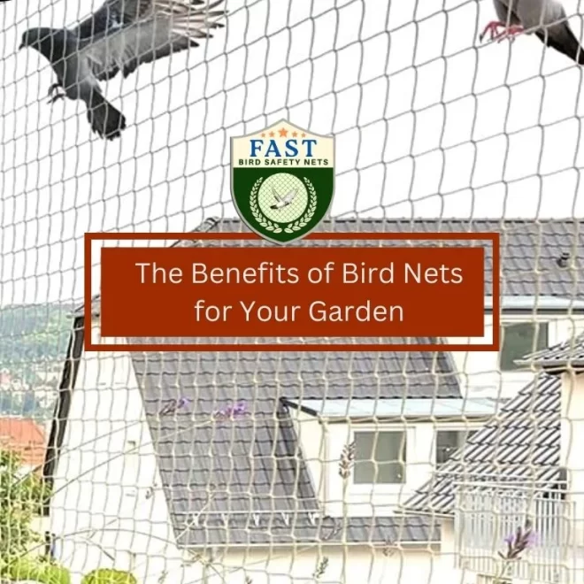 The Benefits of Bird Netting for Your Garden